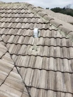 Slide of Roof Nation