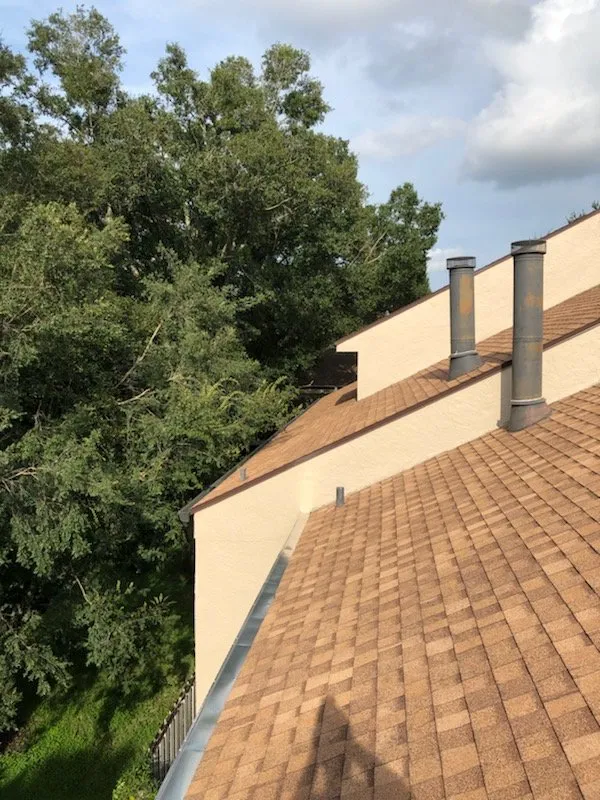 Slide of Roof Nation