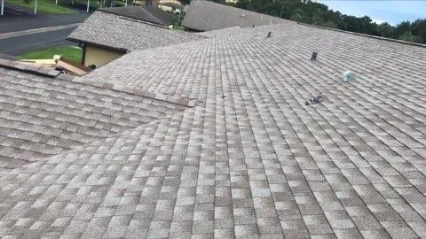 Slide of Roof Nation