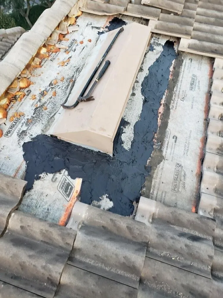 Slide of Roof Nation