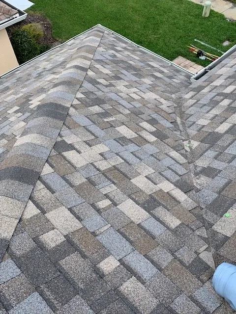 Slide of Roof Nation