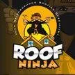 Slide of Roof Ninja