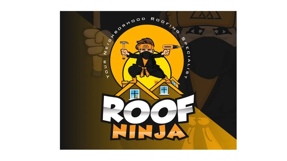 Slide of Roof Ninja