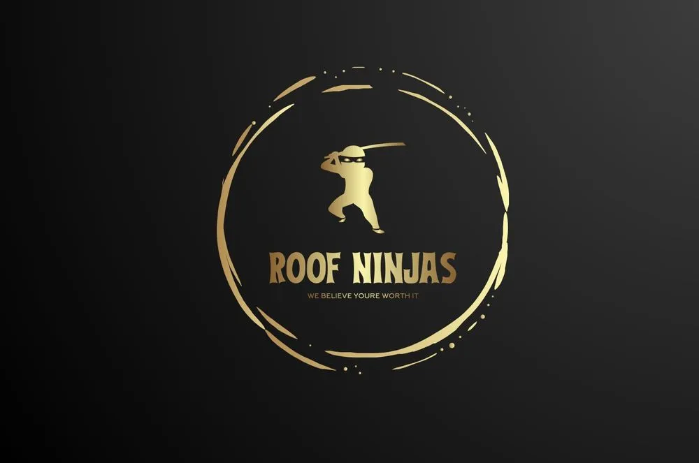 Slide of Roof Ninjas