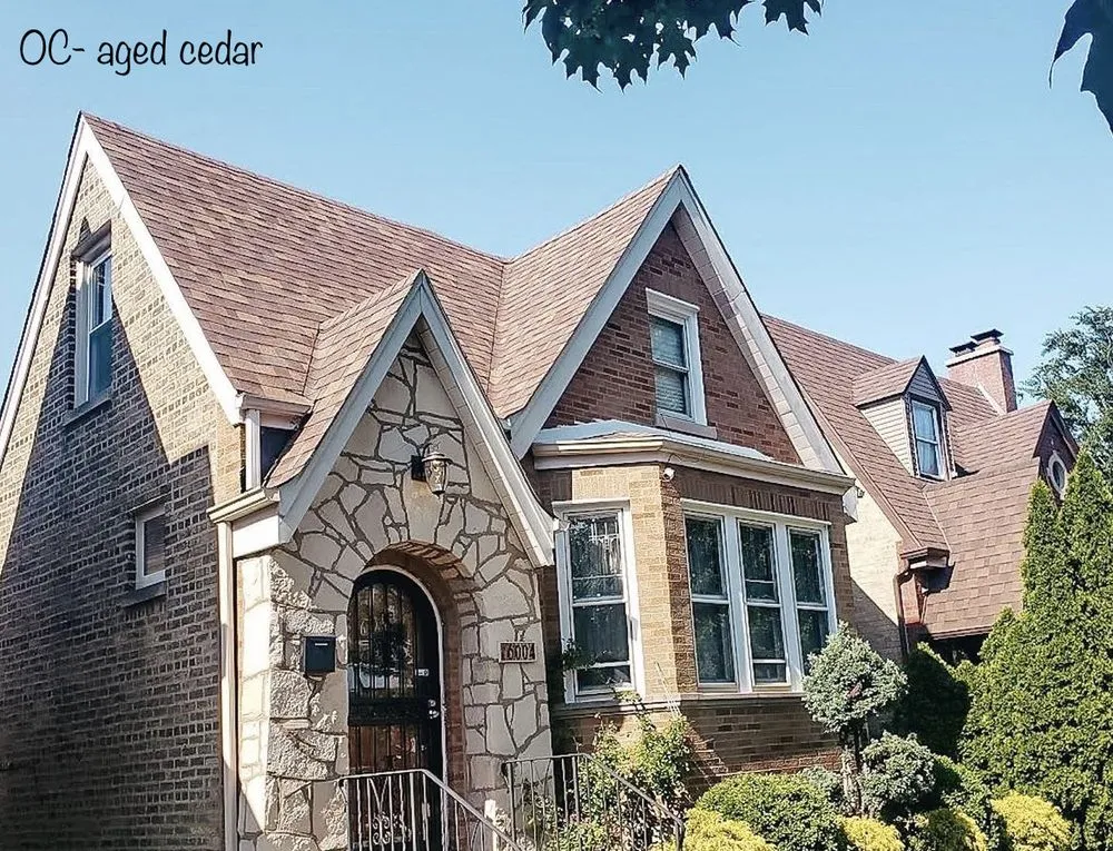 Slide of Roof Ninjas