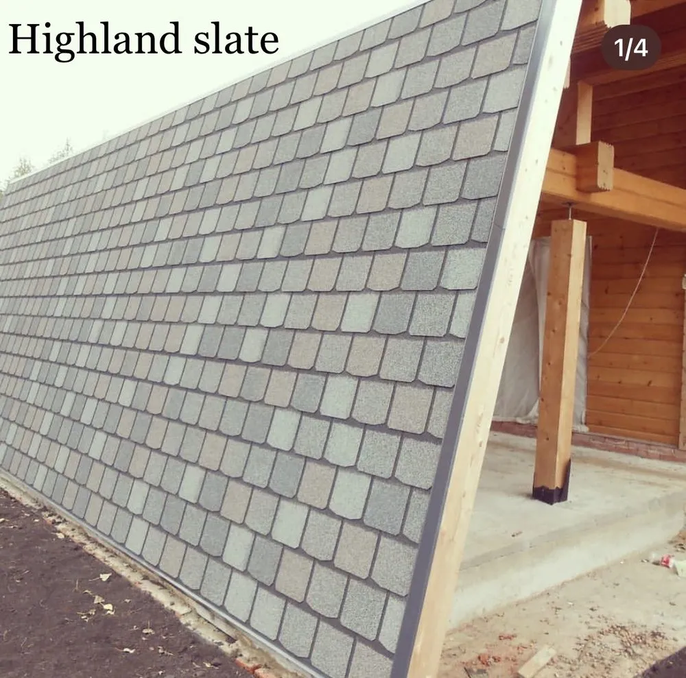 Slide of Roof Ninjas