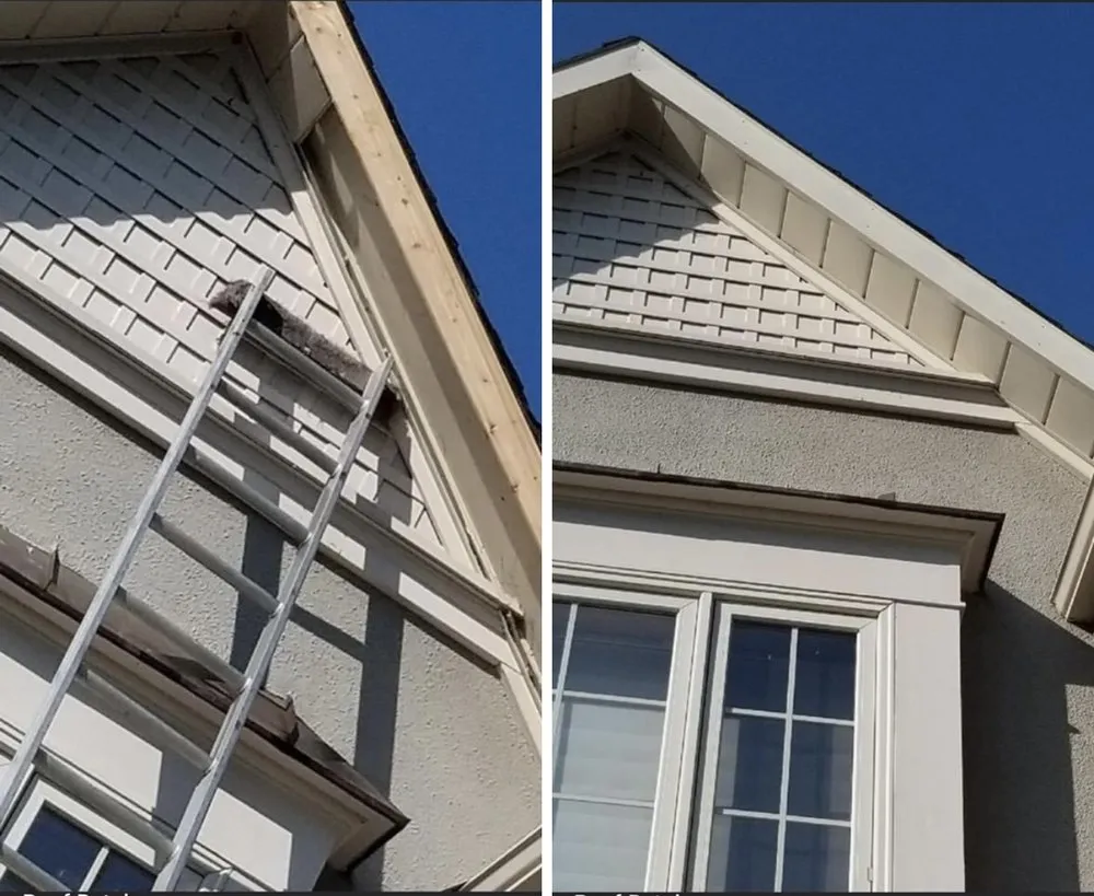 Slide of Roof patchers