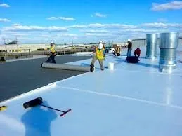 Slide of Roof Pro