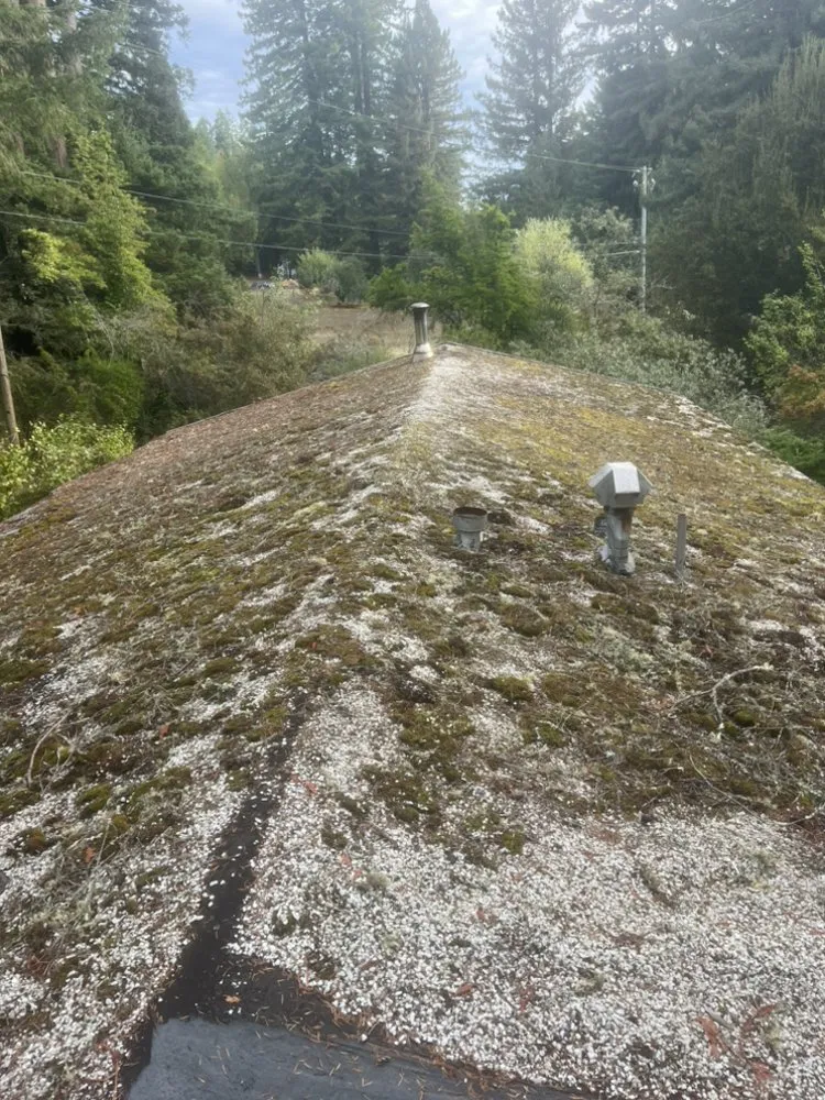 Slide of Roof Proofing