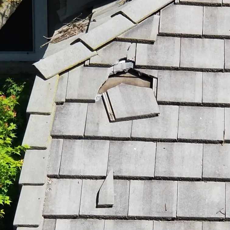 Slide of Roof Pros Roofing