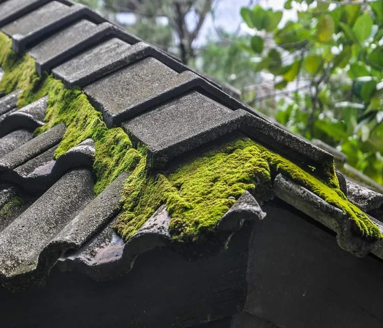 Slide of Roof Pros Roofing