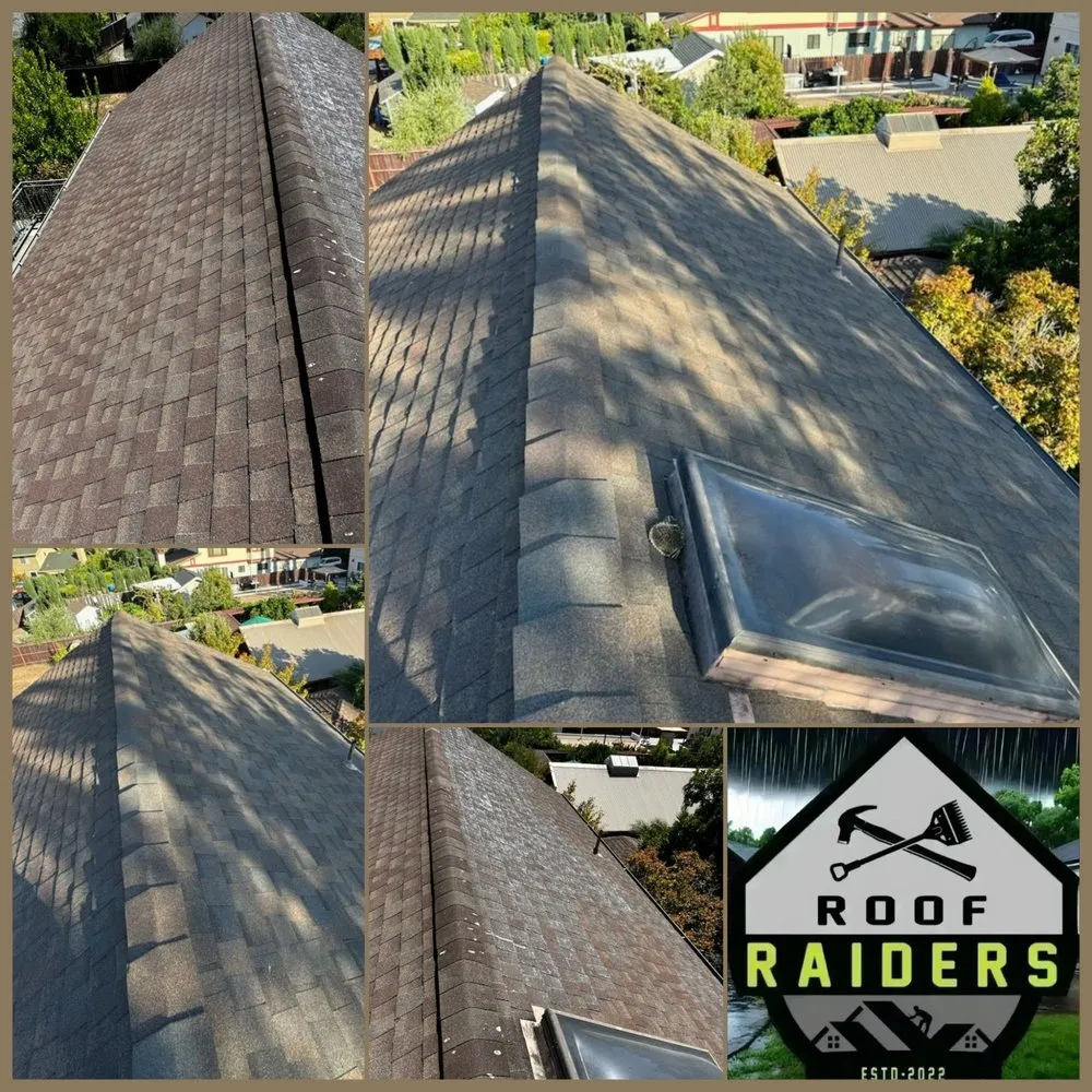 Slide of Roof Raiders