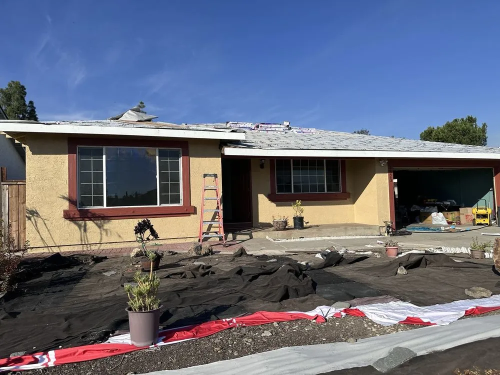 Slide of Roof Raiders