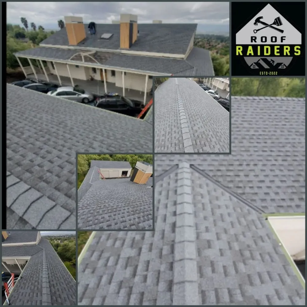 Slide of Roof Raiders