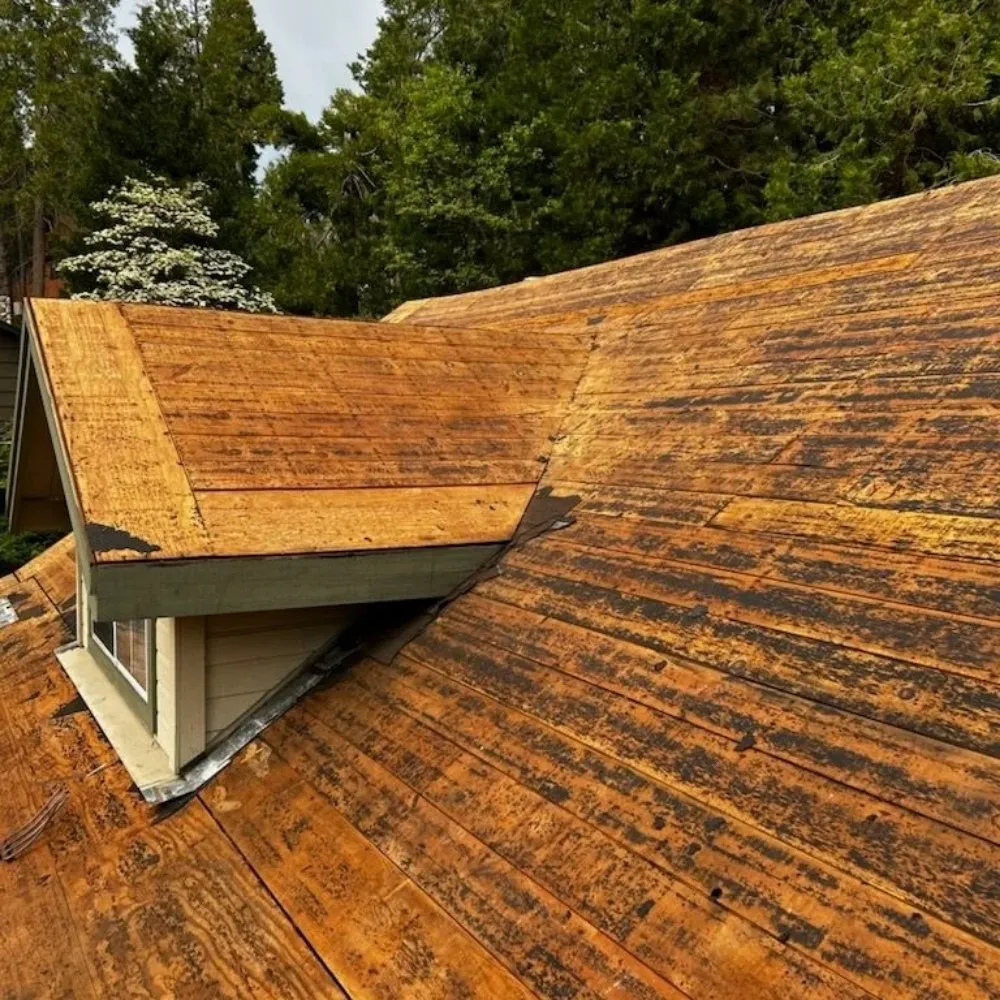 Slide of Roof Raiders