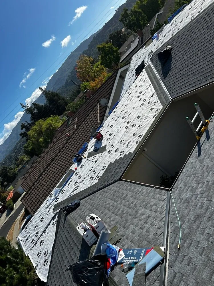 Slide of Roof Raiders