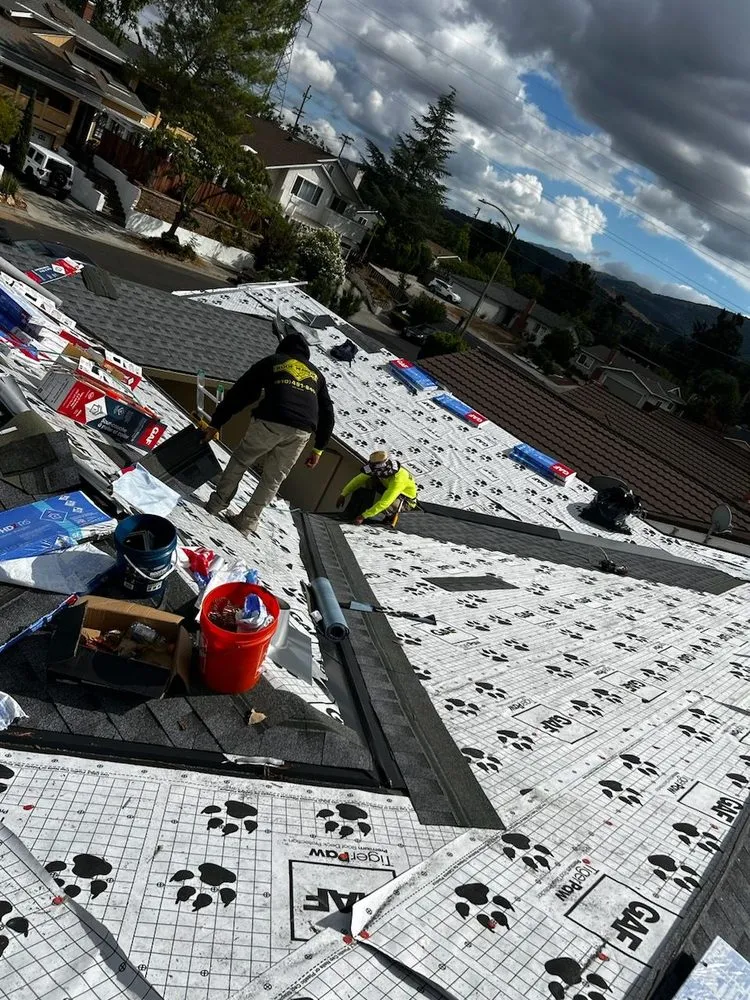 Slide of Roof Raiders