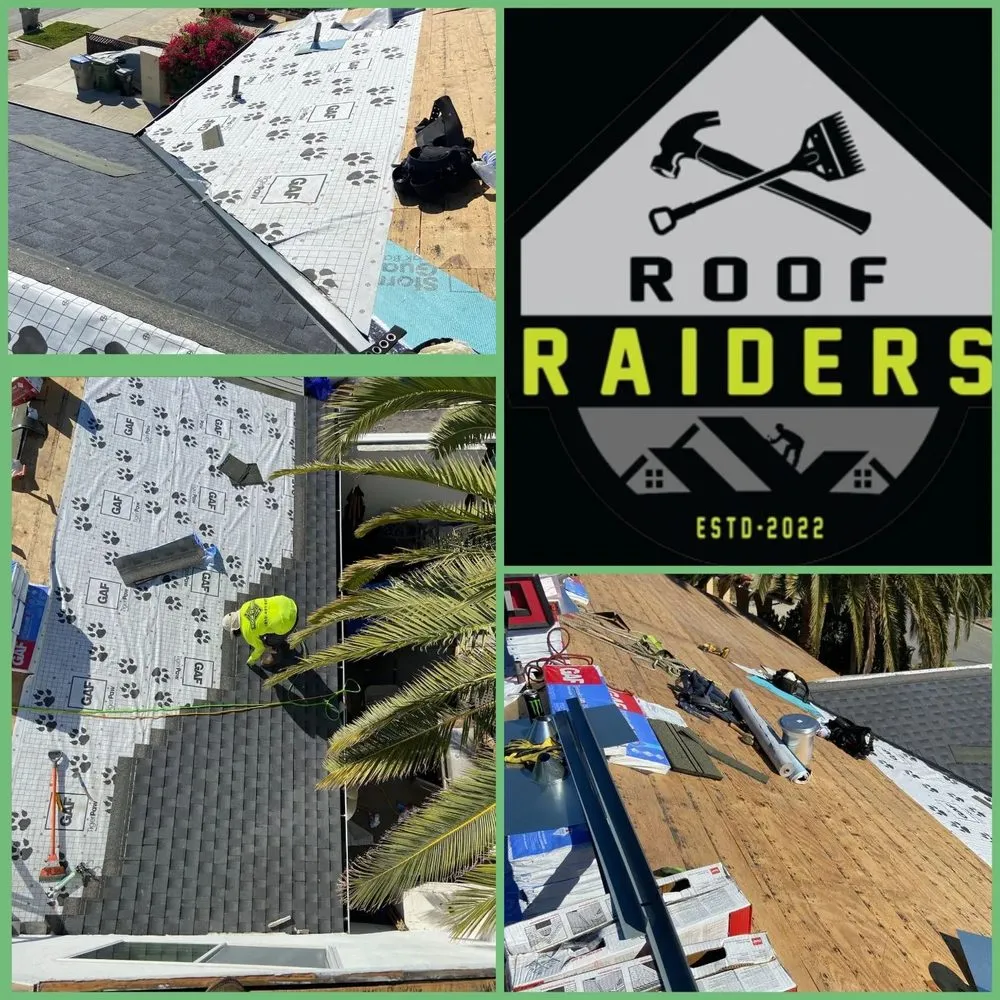 Slide of Roof Raiders
