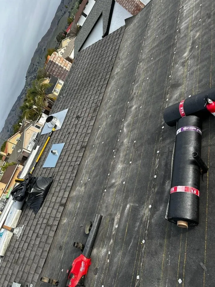 Slide of Roof Raiders