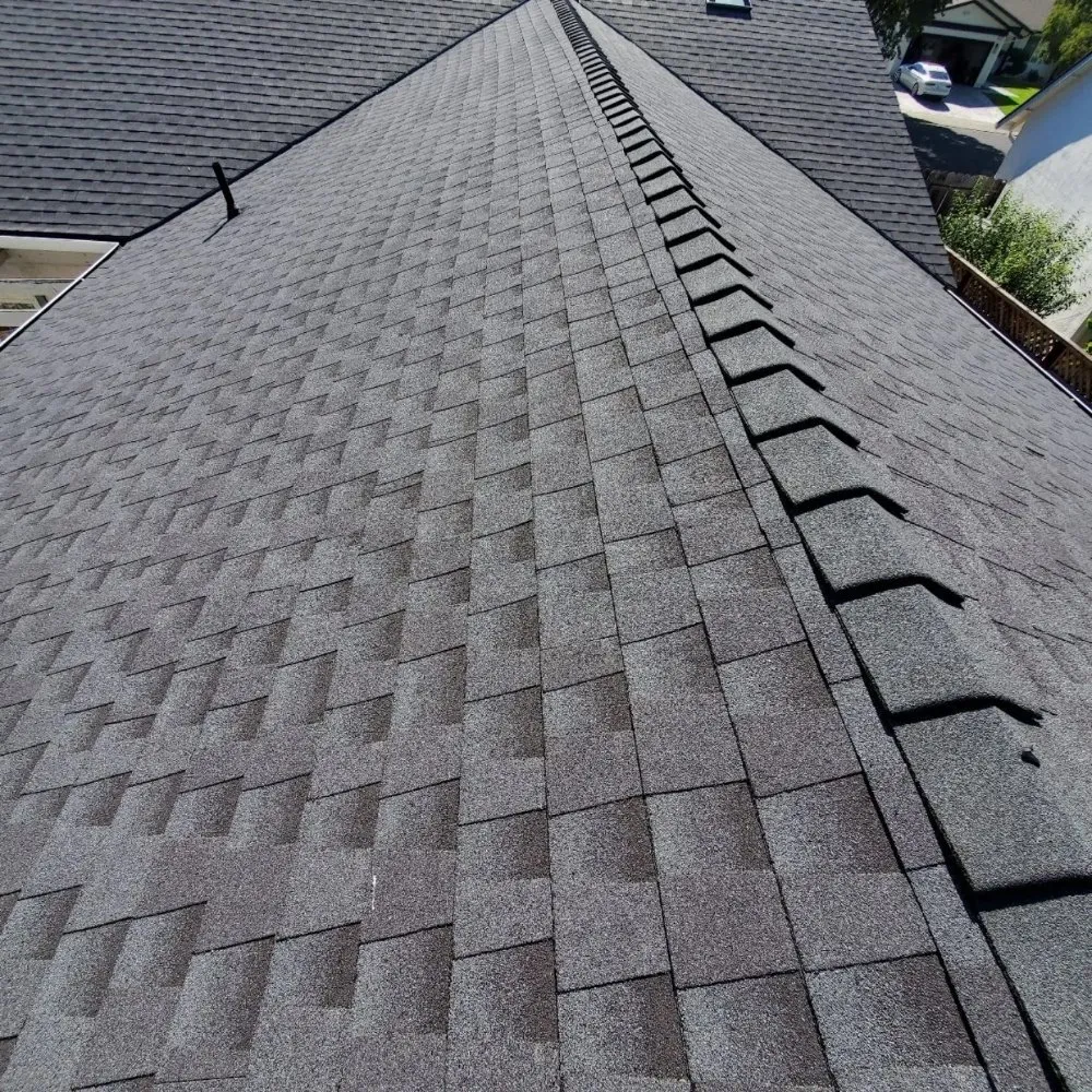 Slide of Roof Raiders