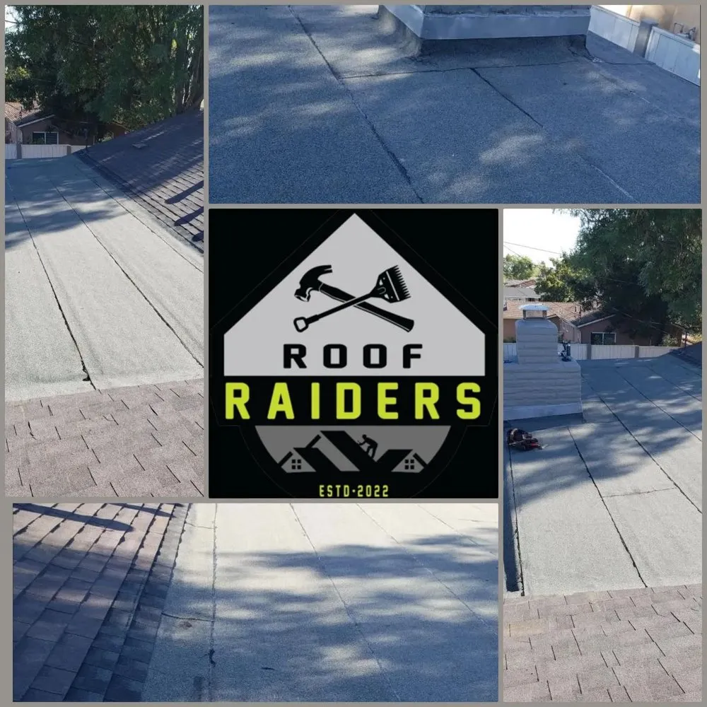 Slide of Roof Raiders