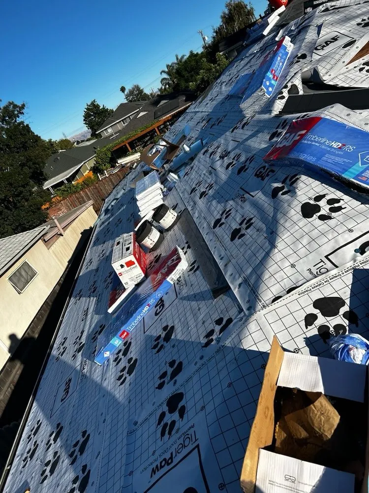 Slide of Roof Raiders