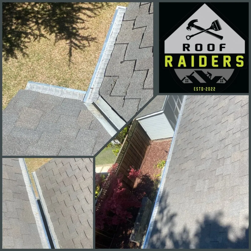 Slide of Roof Raiders