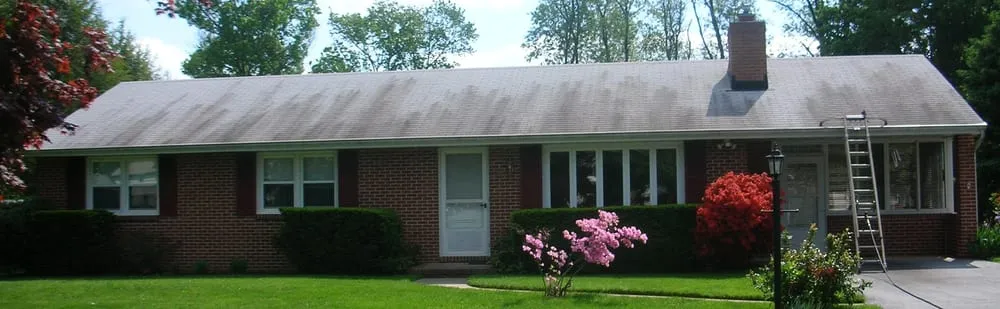 Slide of Roof Real Clean