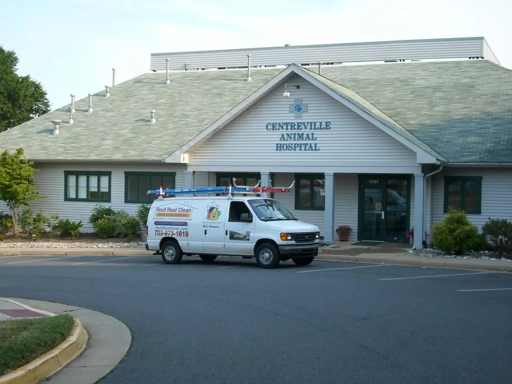 Slide of Roof Real Clean