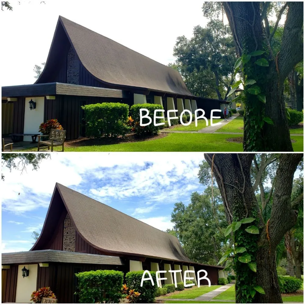 Slide of Roof Rejuvenate