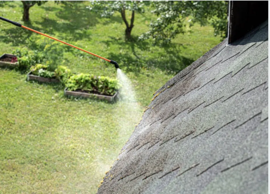 Slide of Roof Remedy