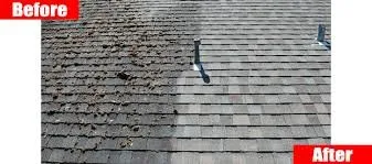 Slide of Roof Renew