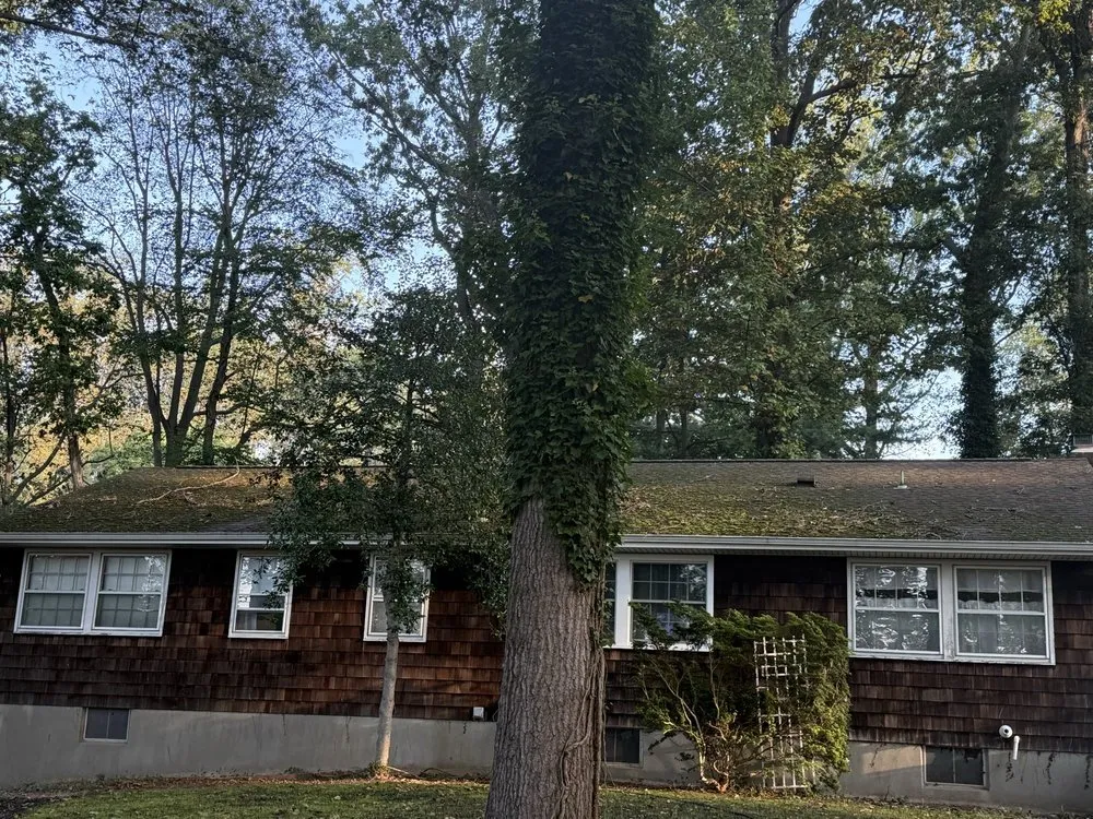 Emergency roof leak repair with free inspection in Byram Township, NJ by Roof Renew Pros