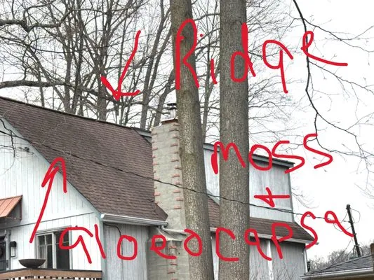 Roof Renew Pros