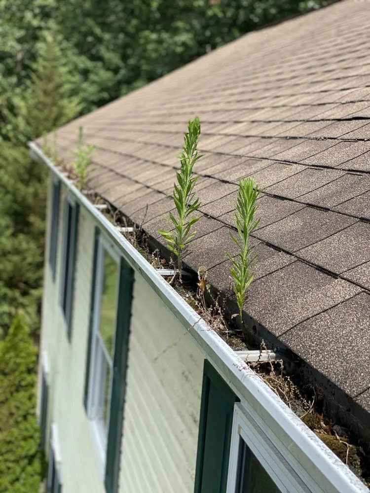 Slide of Roof Renew