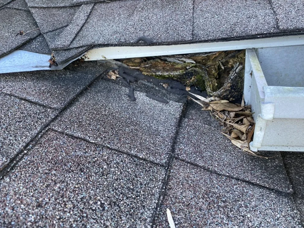 Slide of Roof repair & leak experts - NOLA