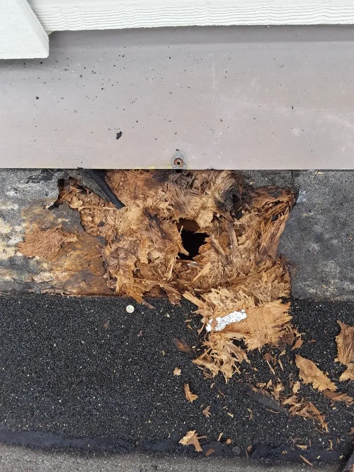 Slide of Roof repair & leak experts - NOLA