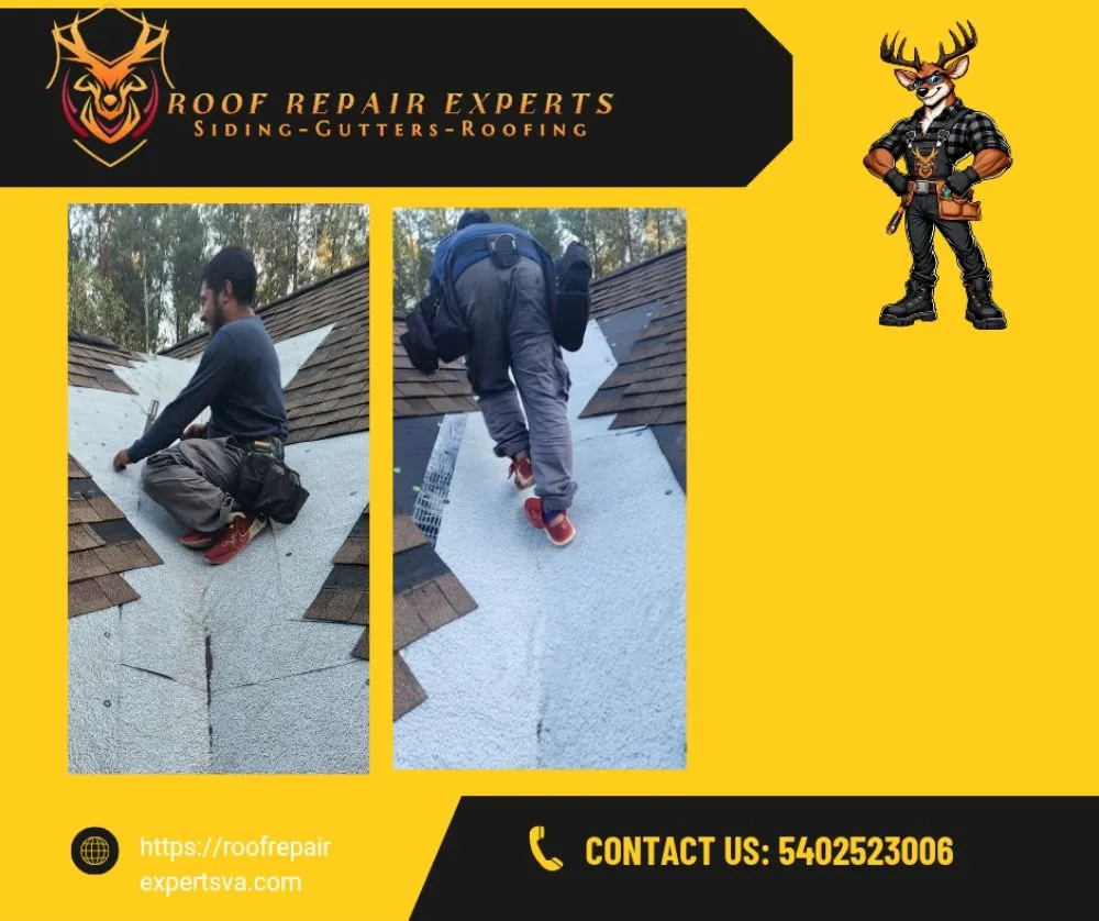 Slide of Roof Repair Experts