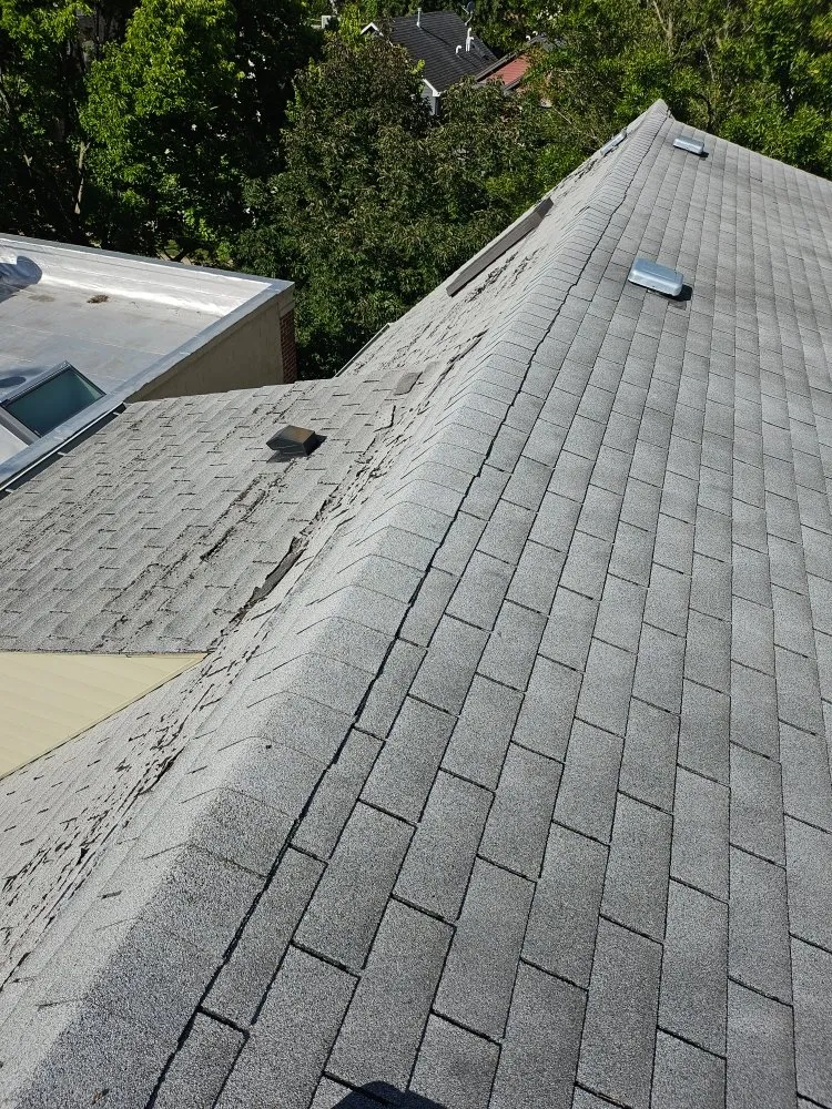 Slide of Roof Repair Specialist