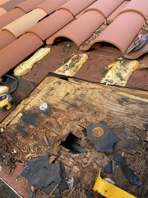 Roof Repair Specialist Logo