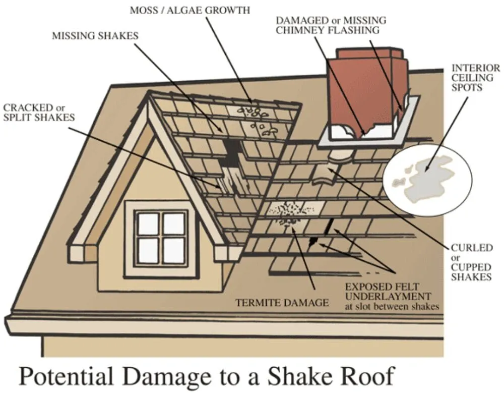 Slide of Roof Repair Techs