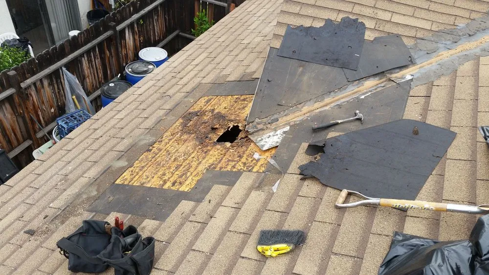 Slide of Roof Repairs & Maintenance