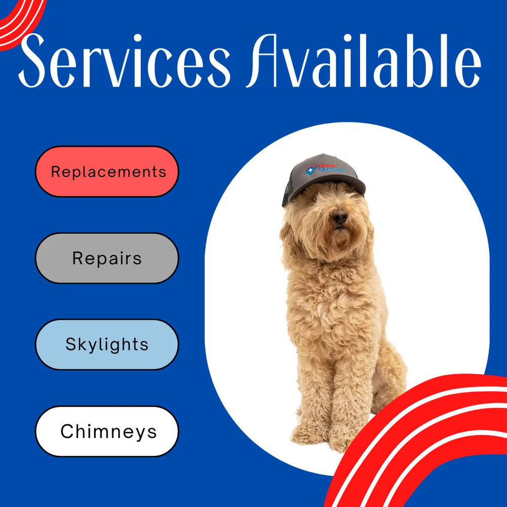 Slide of Roof Rescue