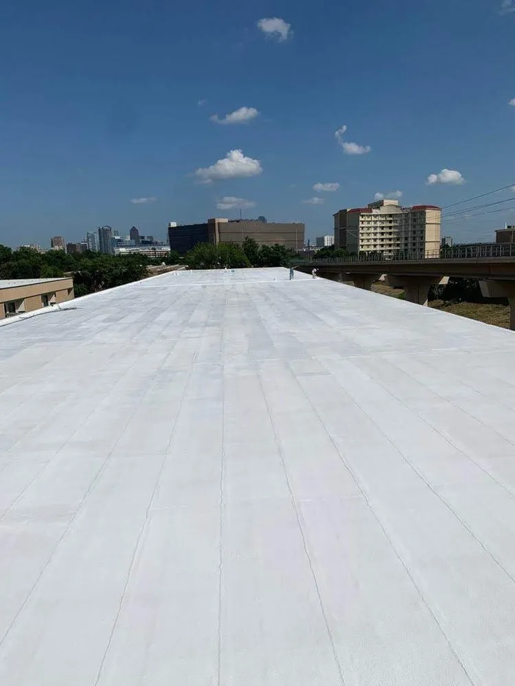 Slide of Roof Rescue