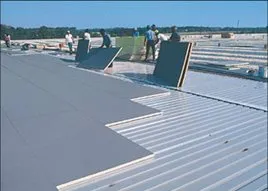 Slide of Roof Rescue