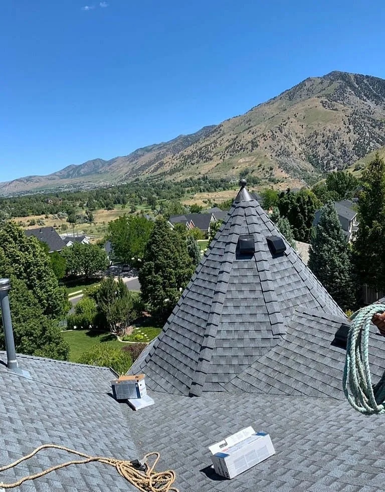 Slide of Roof Rescue