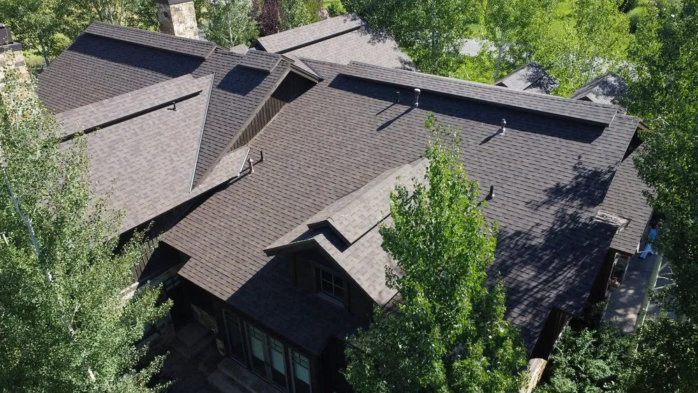 Slide of Roof Rescue