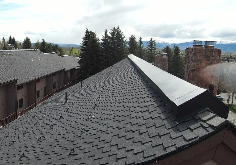 Slide of Roof Rescue