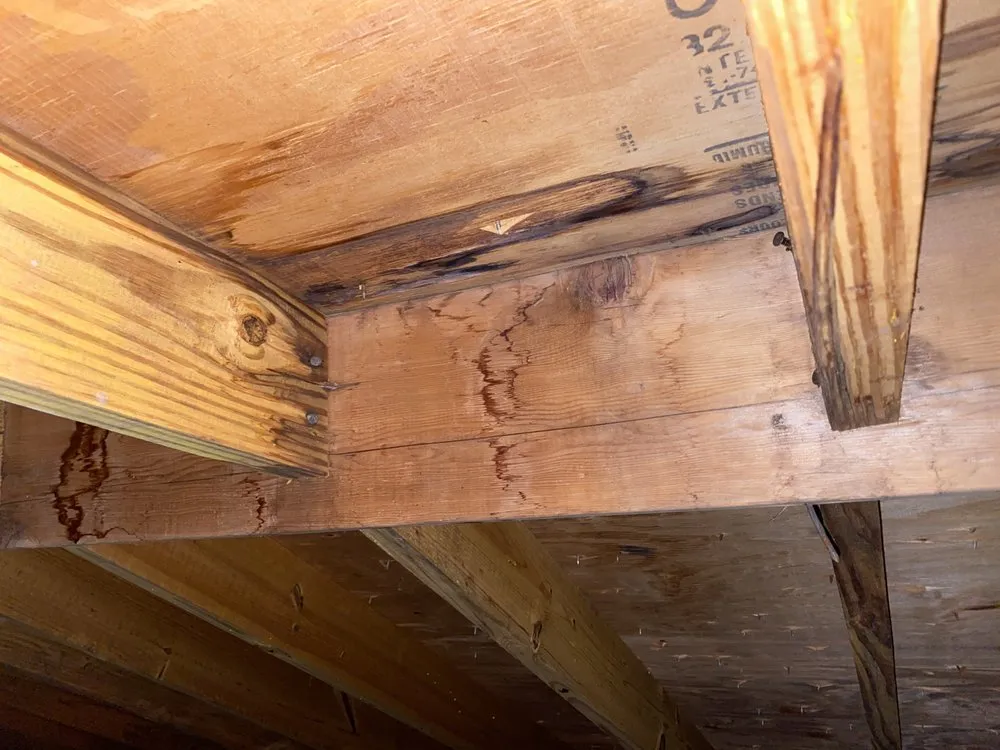 Slide of Roof Restorations and Repairs