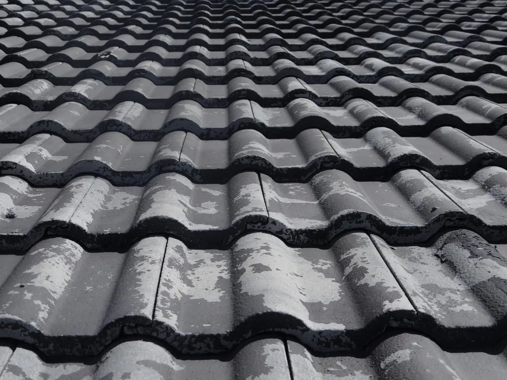 Slide of Roof Restore